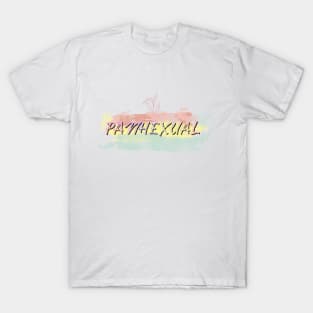 Witchy Puns - Panhexual T-Shirt